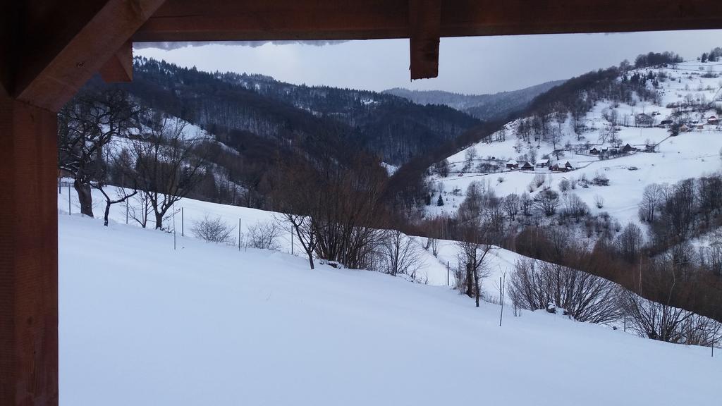 Cabana Bunicilor Rachitele Εξωτερικό φωτογραφία