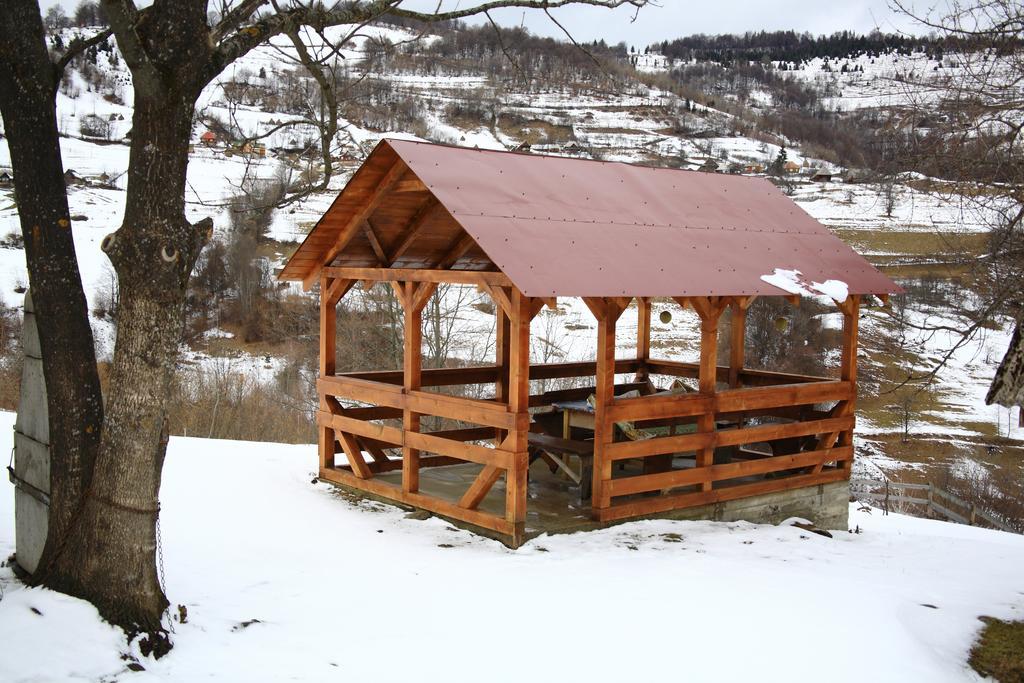 Cabana Bunicilor Rachitele Εξωτερικό φωτογραφία